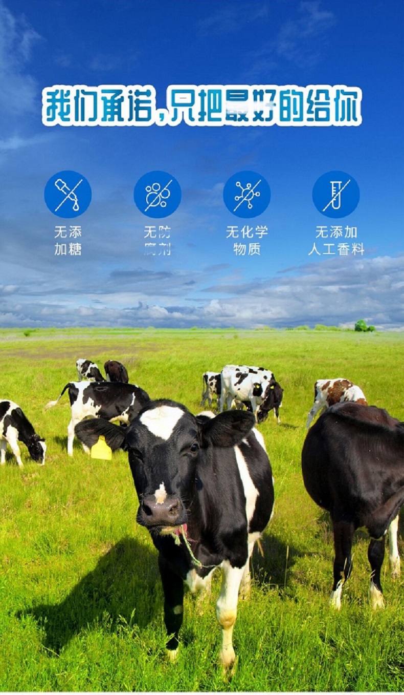 ia_2400000103.jpg